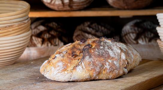 Olive-Walnuss-Ciabatta