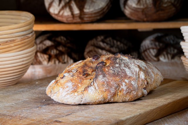 Olive-Walnuss-Ciabatta