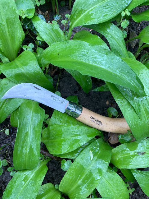 Focaccia Bärlauch (klein)